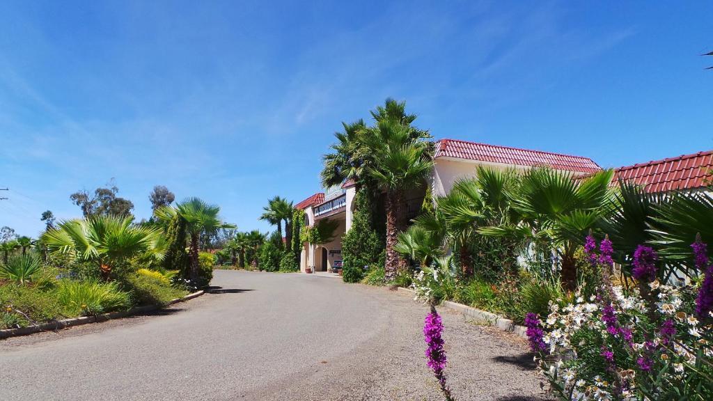 El Sierra Motel Barooga Ngoại thất bức ảnh