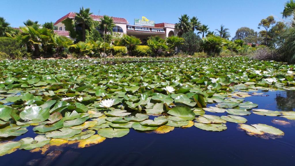 El Sierra Motel Barooga Ngoại thất bức ảnh